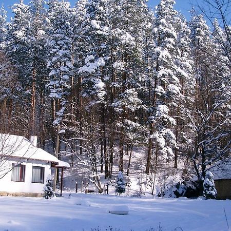 Holiday Home Tanevi Tryavna Extérieur photo