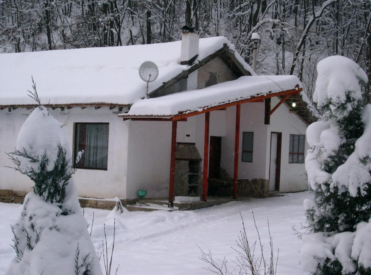 Holiday Home Tanevi Tryavna Extérieur photo