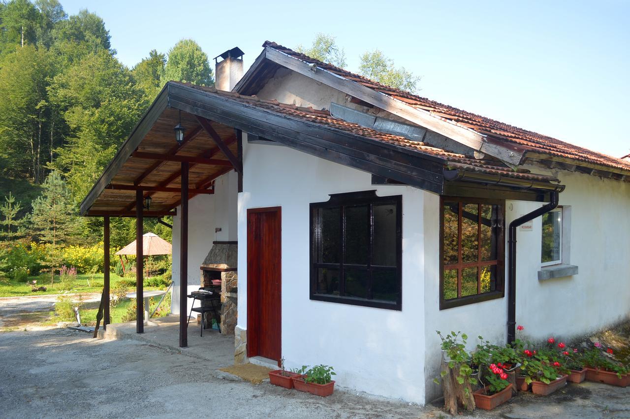 Holiday Home Tanevi Tryavna Extérieur photo